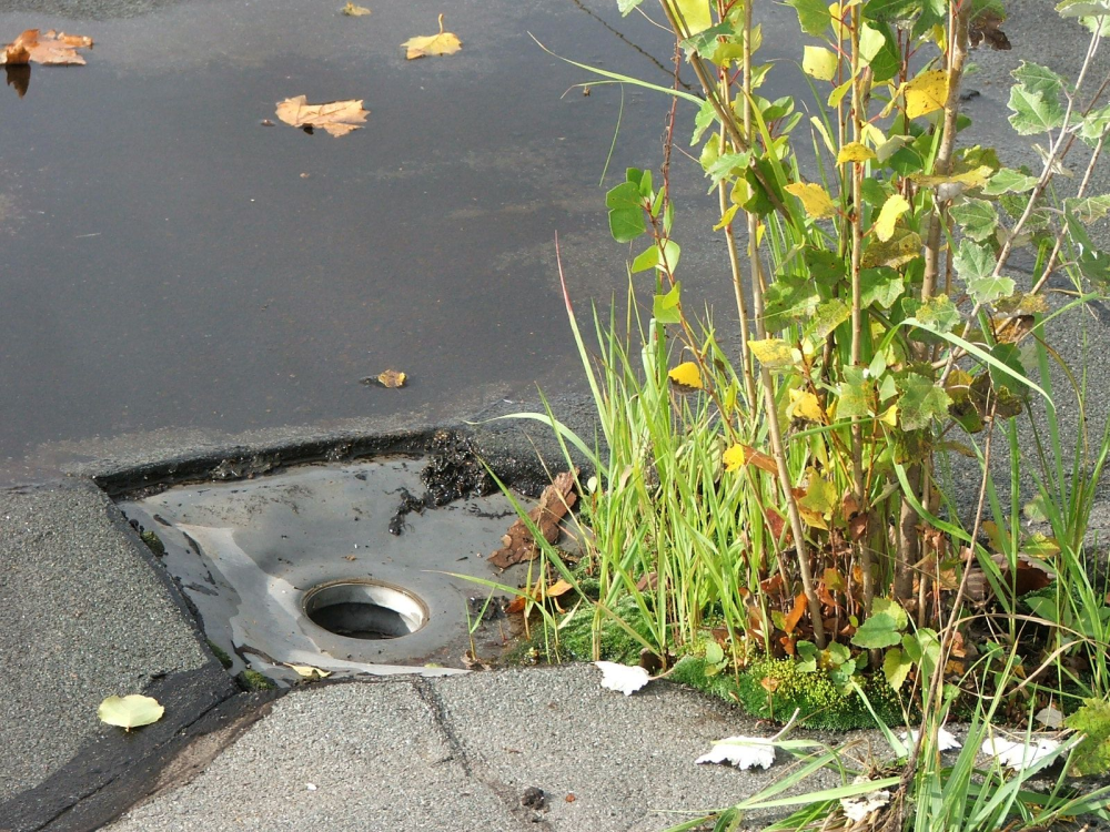 Hogyan újítsunk fel tetőszigetelést? Hogyan újítsunk fel tetőszigetelést?