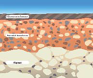 Kerámia- vagy betoncserép? Kerámia- vagy betoncserép?