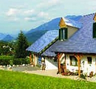 Tartós, de nagyon könnyű tetőfedés polimerpalából Tartós, de nagyon könnyű tetőfedés polimerpalából