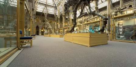 Minőségi modul- és padlószőnyegek bármilyen területre