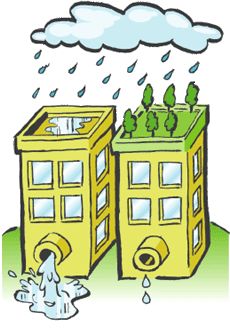 Zöldtetővel a városi árvizek ellen