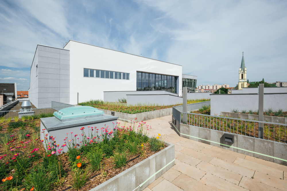 Újpesti Új Vásárcsarnok és Kulturális Rendezvényközpont Újpesti Új Vásárcsarnok és Kulturális Rendezvényközpont