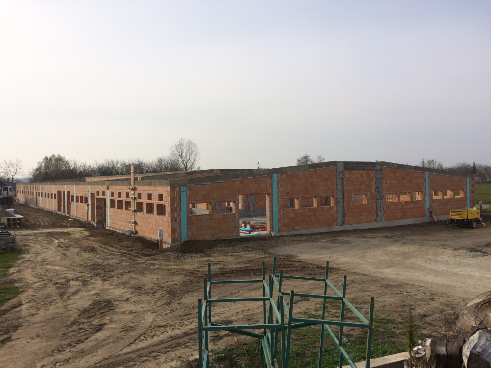 Egy sertéshízlalda esete a fagyapottal