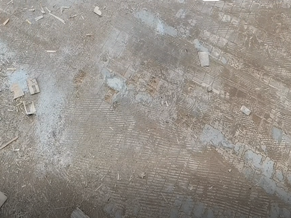 Egy igazi zsákbamacska