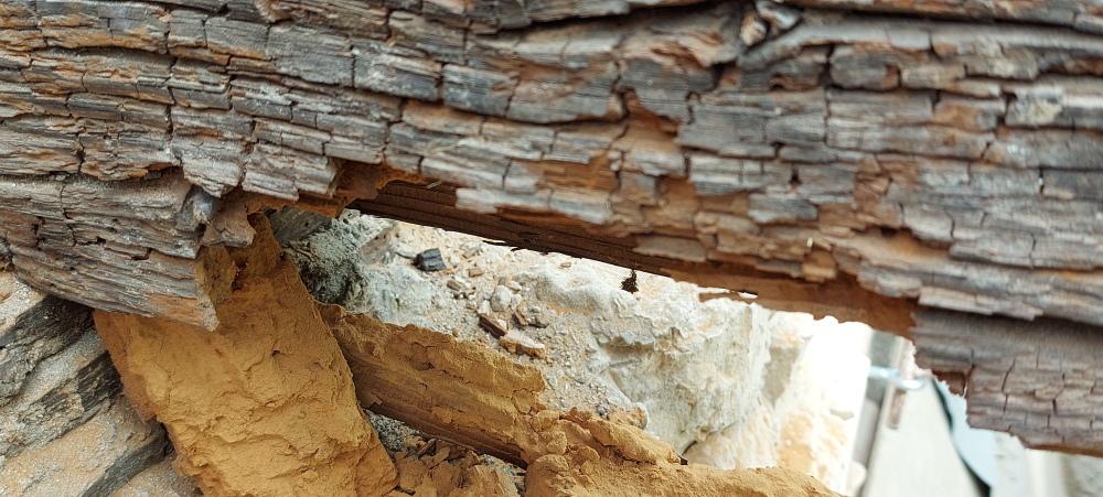 Fagerendás födém károsodása egy százhúsz éves társasházban Fagerendás födém károsodása egy százhúsz éves társasházban
