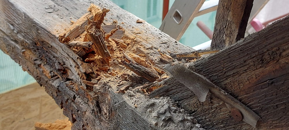 Fagerendás födém károsodása egy százhúsz éves társasházban Fagerendás födém károsodása egy százhúsz éves társasházban