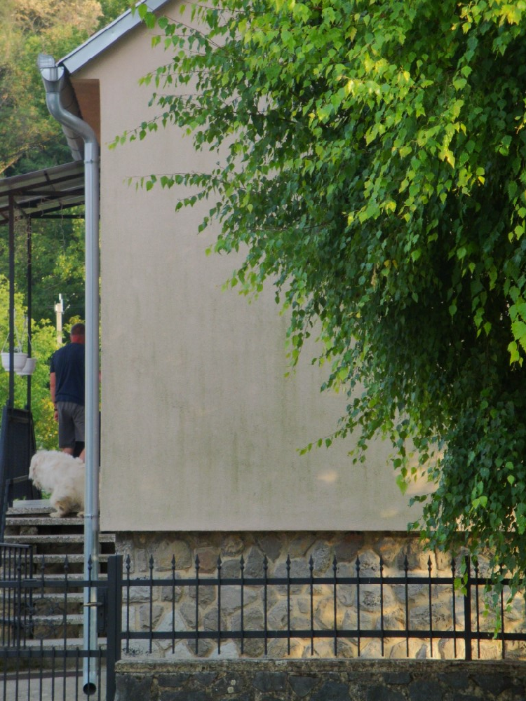 Vakolt homlokzatok mikroorganizmusok elleni védelme Vakolt homlokzatok mikroorganizmusok elleni védelme