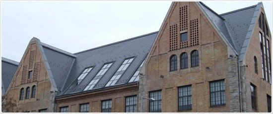 Rusztikus felületű új síkpalák