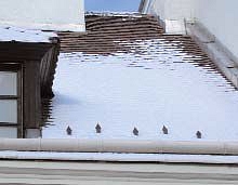 Jó hófogókkal megelőzhetők a kártérítési viták