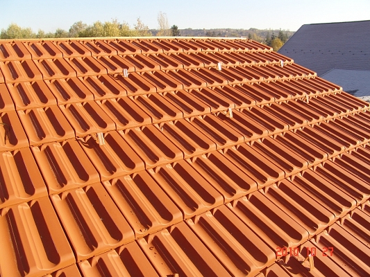 Knittel nyerte a tetőszépségversenyt – a hóhérakasztás elmaradt