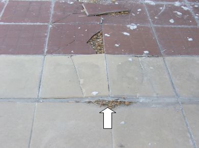 Teraszok felújítása, szigetelése, burkolása – a rétegrendektől a dilatációszámításokig