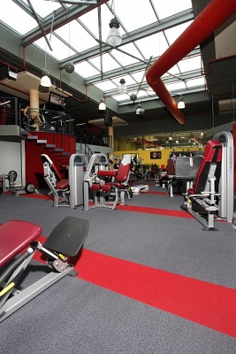 Valódi különlegesség a szőnyegek között