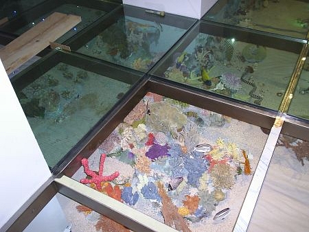 A födém is készülhet üvegből