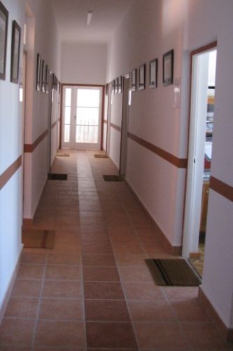 Járófelületek burkolatának szerepe az akadálymentes környezetalakításban