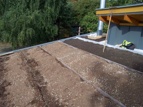 Miért nem csúszik le a talaj a ferde zöldtetőn? Miért nem csúszik le a talaj a ferde zöldtetőn?