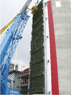 Két nap alatt telepíthető sövénykerítés