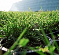 Nagy teherbírású, utólag telepíthető gyepvédő rács ideiglenes alkalmazásra is Nagy teherbírású, utólag telepíthető gyepvédő rács ideiglenes alkalmazásra is