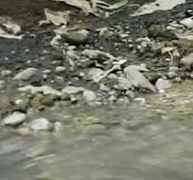 Fűtés, hűtés, vízmelegítés talajvízzel Fűtés, hűtés, vízmelegítés talajvízzel